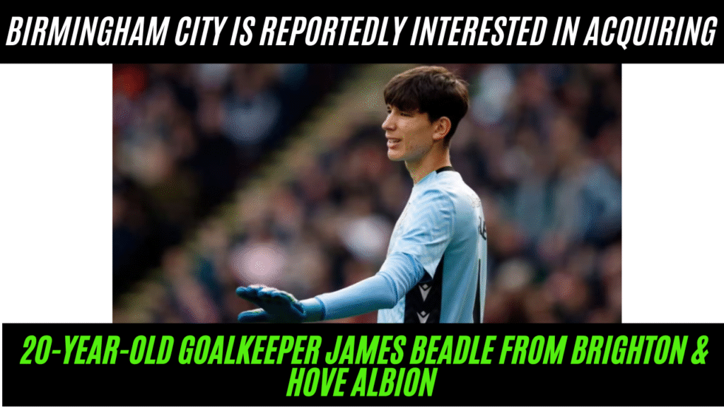 Birmingham city interested in acquiring 20 years old goalkeeper James beadle from Brighton
